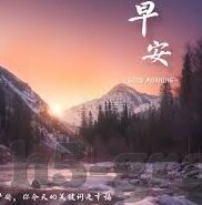 意大利对荷兰足球比分-意大利VS荷兰，绿茵场上的经典对决与比分背后的战术博弈